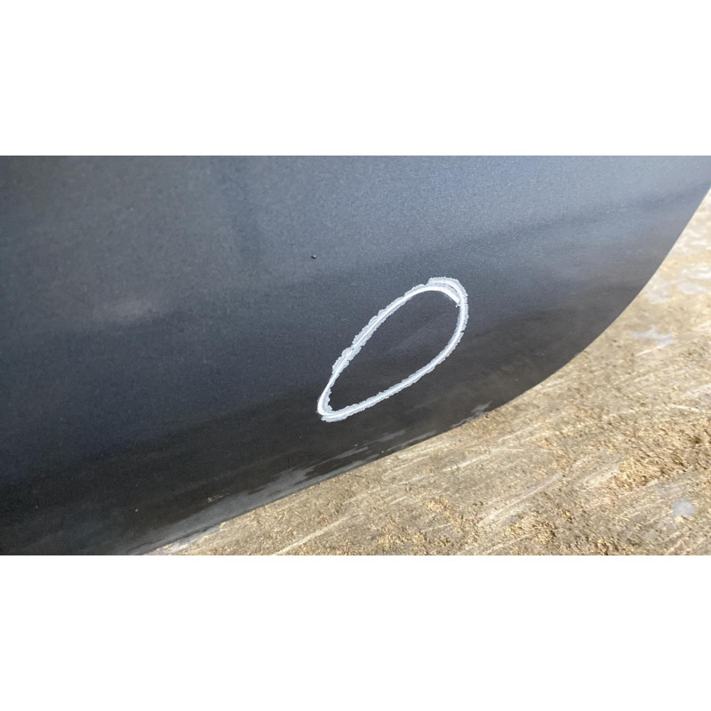 Porte arriere gauche CITROEN C4 GRAND PICASSO 1 Photo n°5
