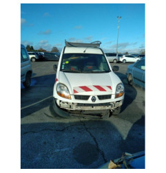 Porte de coffre gauche RENAULT KANGOO 1