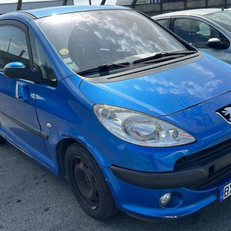 Bras essuie glace arriere PEUGEOT 1007 Photo n°5