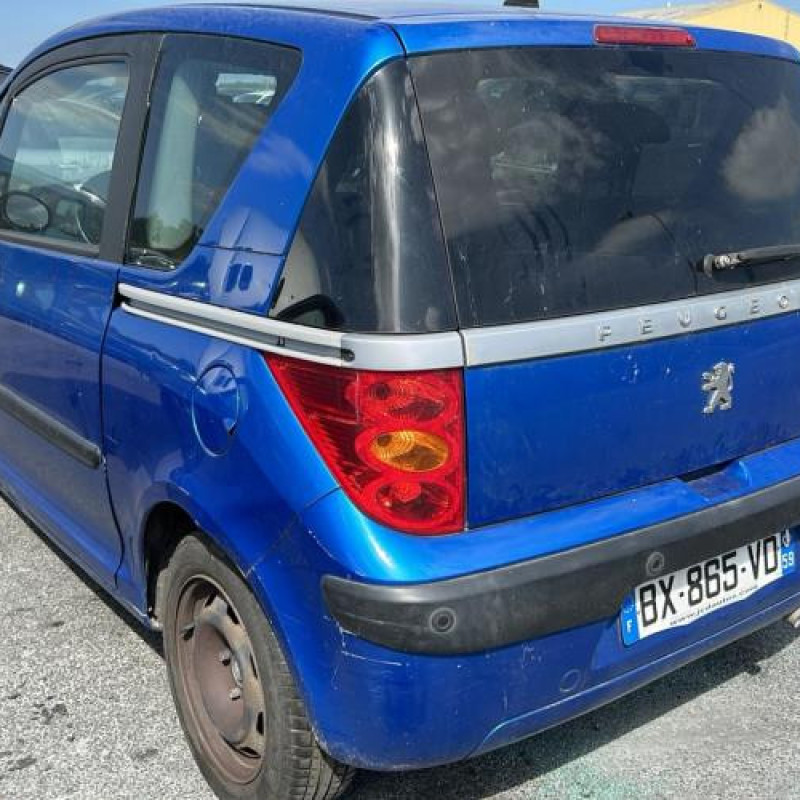 Bras essuie glace arriere PEUGEOT 1007 Photo n°7