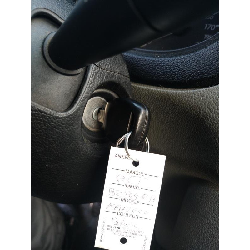 Porte de coffre droit RENAULT KANGOO 1 Photo n°13