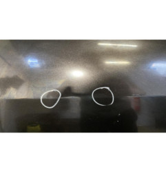 Porte arriere gauche RENAULT MODUS
