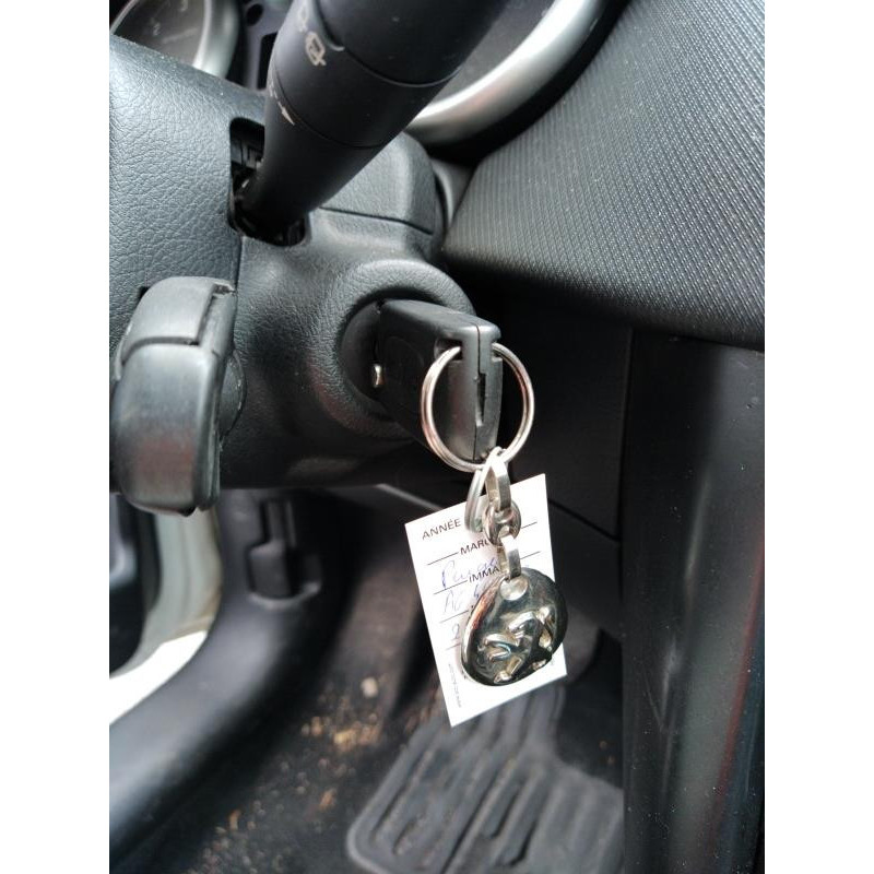 Custode arriere droit PEUGEOT 207 Photo n°11