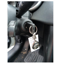 Custode arriere gauche PEUGEOT 207