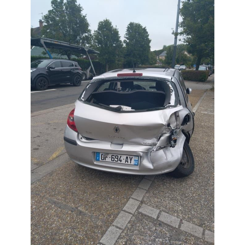 Poignee interieur avant gauche RENAULT CLIO 3 Photo n°11