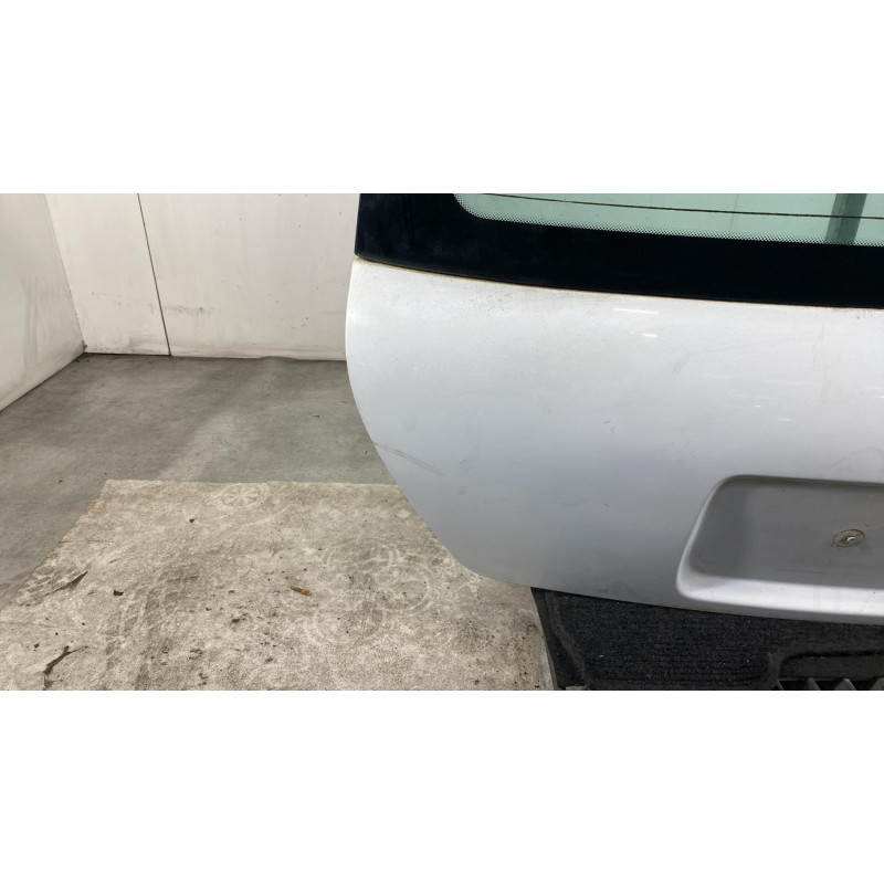 Malle/Hayon arriere RENAULT CLIO 2 Photo n°7