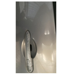 Porte arriere gauche RENAULT MEGANE 2