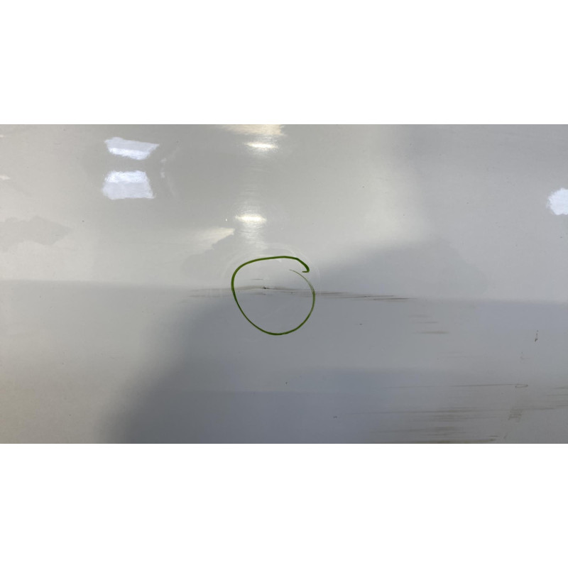 Porte avant droit RENAULT CLIO 3 Photo n°5