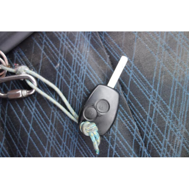 Porte avant droit RENAULT CLIO 3 Photo n°16