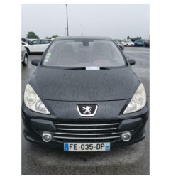 Debitmetre PEUGEOT 307