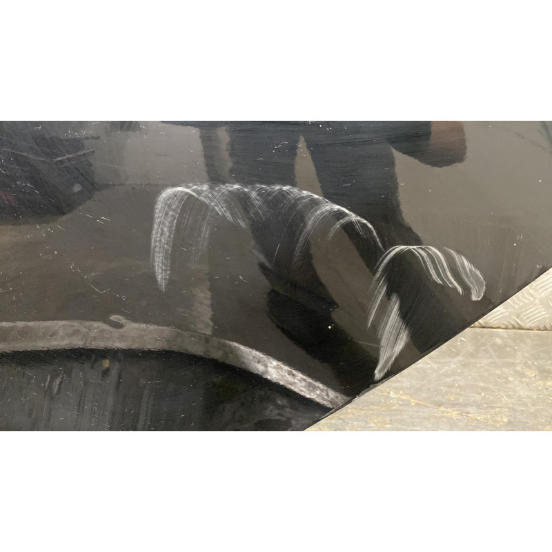 Porte arriere gauche BMW SERIE 1 E87 Photo n°7