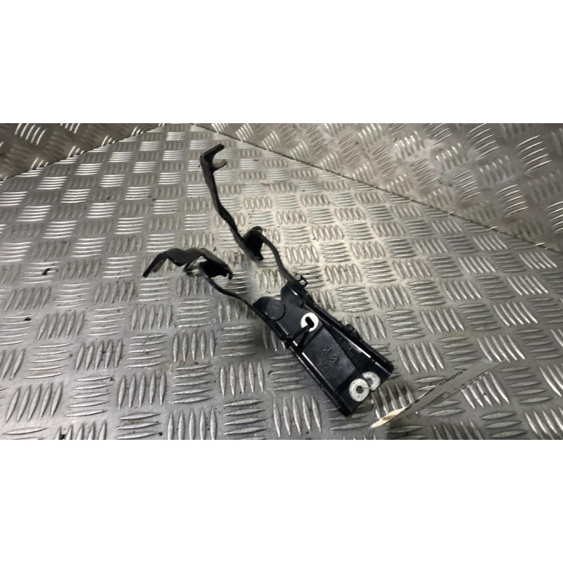 Charniere de capot CITROEN C3 PICASSO Photo n°1