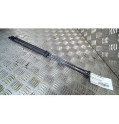 Verin de capot RENAULT VEL SATIS Photo n°1