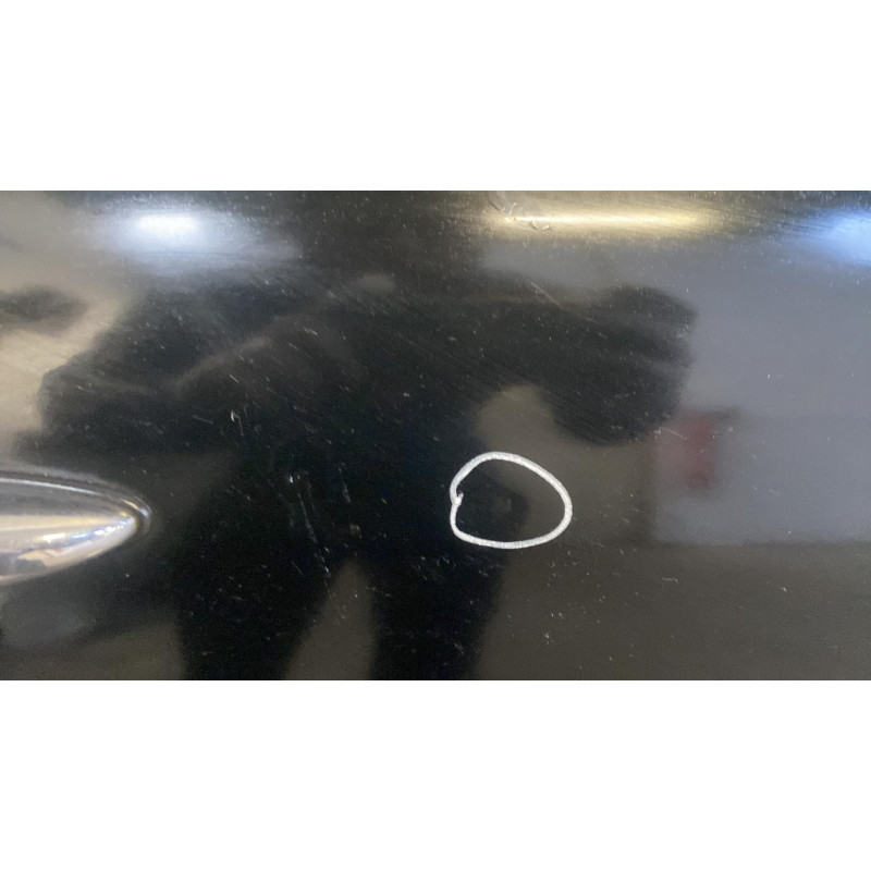 Porte avant droit MINI MINI 1 R50/R53 Photo n°4