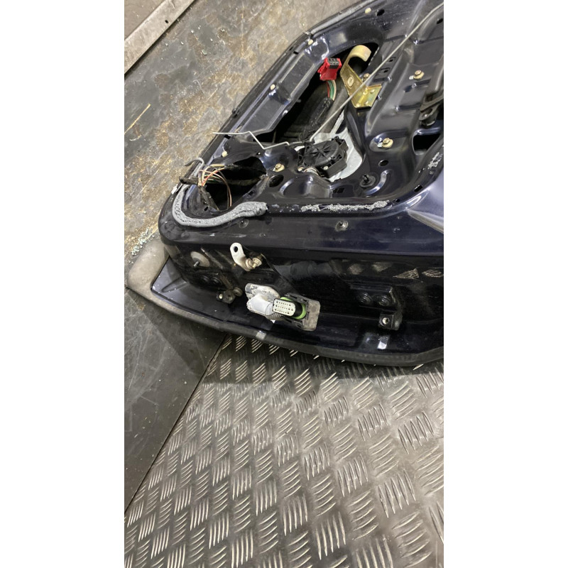 Porte arriere gauche RENAULT SAFRANE Photo n°3