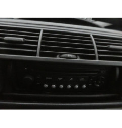 Custode avant droit (porte) CITROEN C8