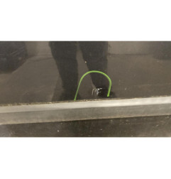Porte avant gauche RENAULT SCENIC 2