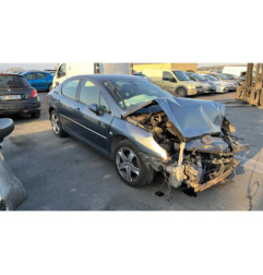 Arret de porte avant gauche PEUGEOT 407