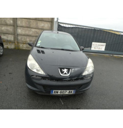 Capot PEUGEOT 206+