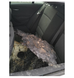 Porte arriere gauche BMW SERIE 1 E87