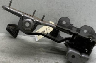 Pedale de frein NISSAN QASHQAI 1