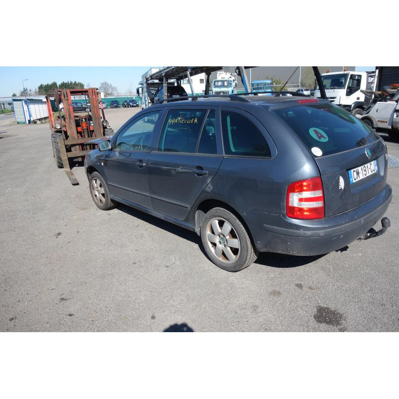 Porte arriere gauche SKODA FABIA 1 Photo n°7
