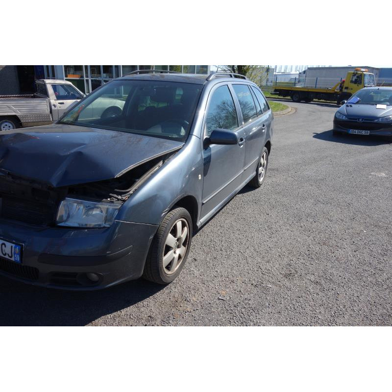 Porte arriere gauche SKODA FABIA 1 Photo n°8