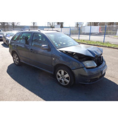 Porte arriere gauche SKODA FABIA 1