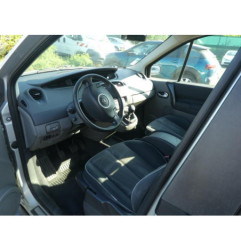 Porte arriere gauche RENAULT SCENIC 2
