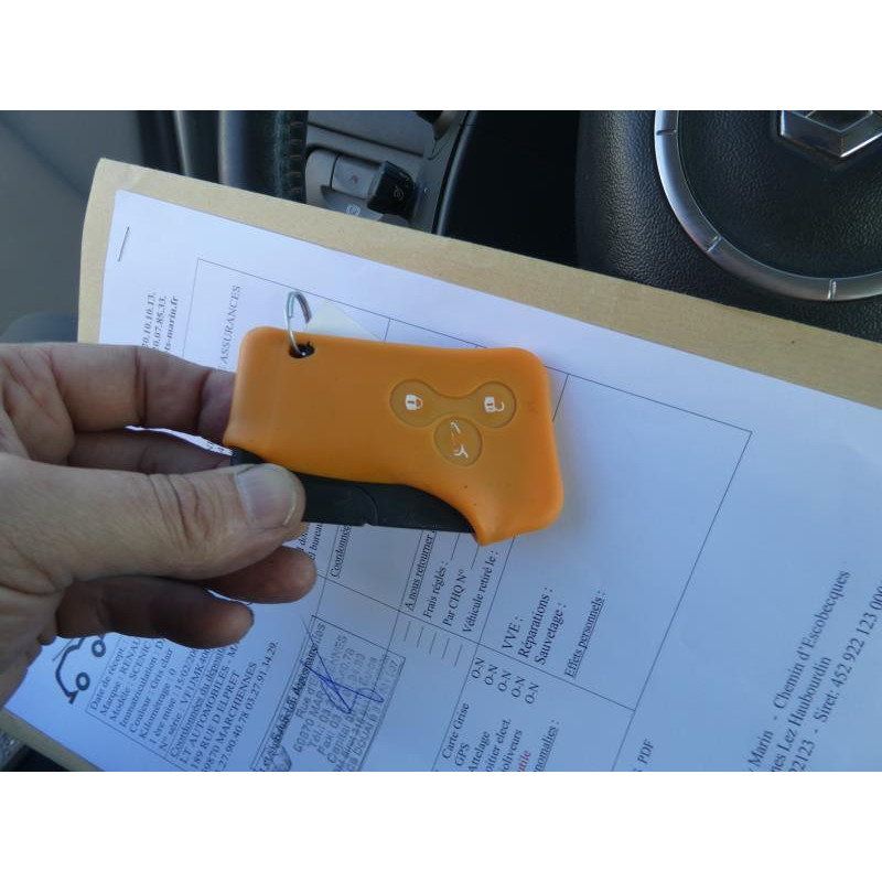 Porte arriere gauche RENAULT SCENIC 2 Photo n°12