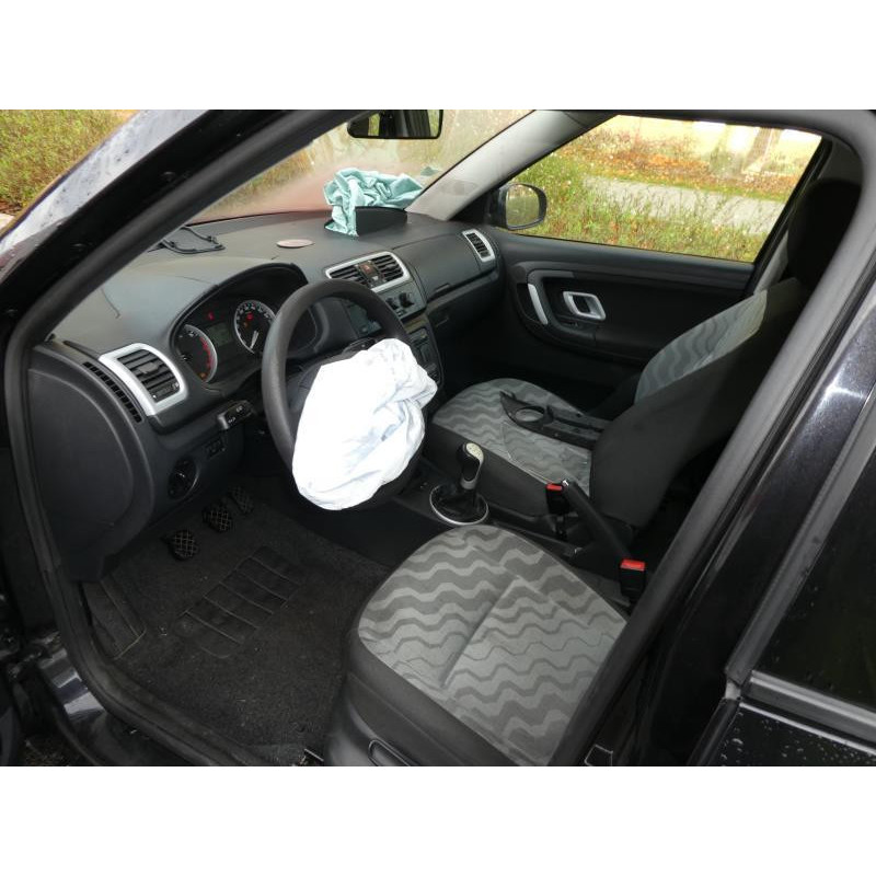 Porte avant droit SKODA FABIA 2 Photo n°11