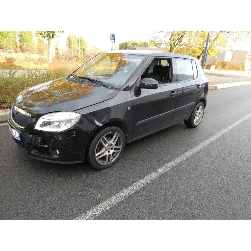 Porte avant droit SKODA FABIA 2 Photo n°13