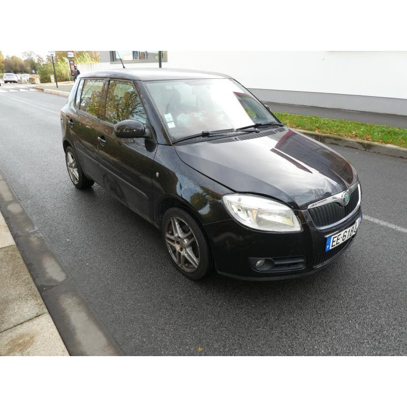 Porte avant droit SKODA FABIA 2 Photo n°14