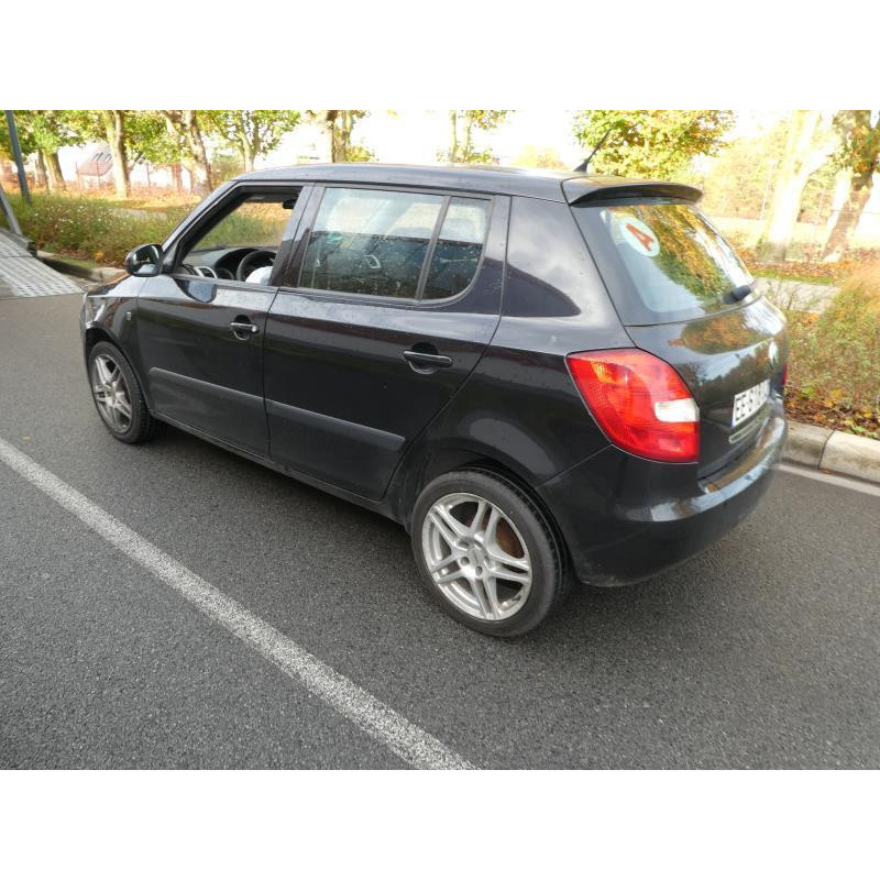 Porte avant droit SKODA FABIA 2 Photo n°16
