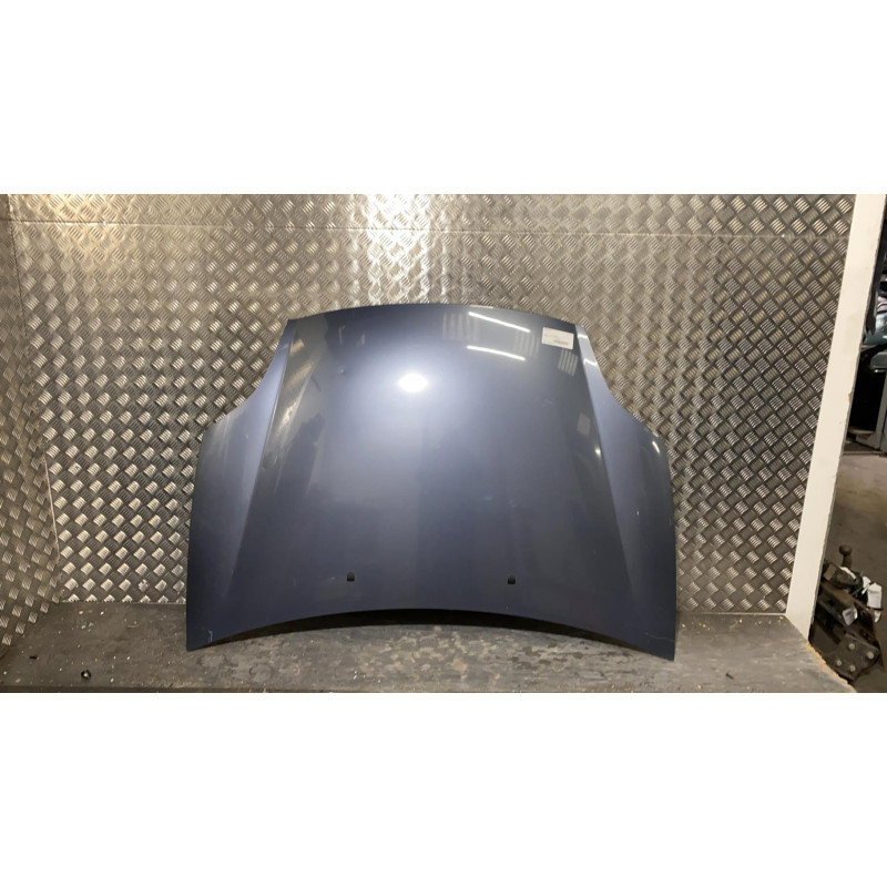 Capot FIAT BRAVO 2 Photo n°4
