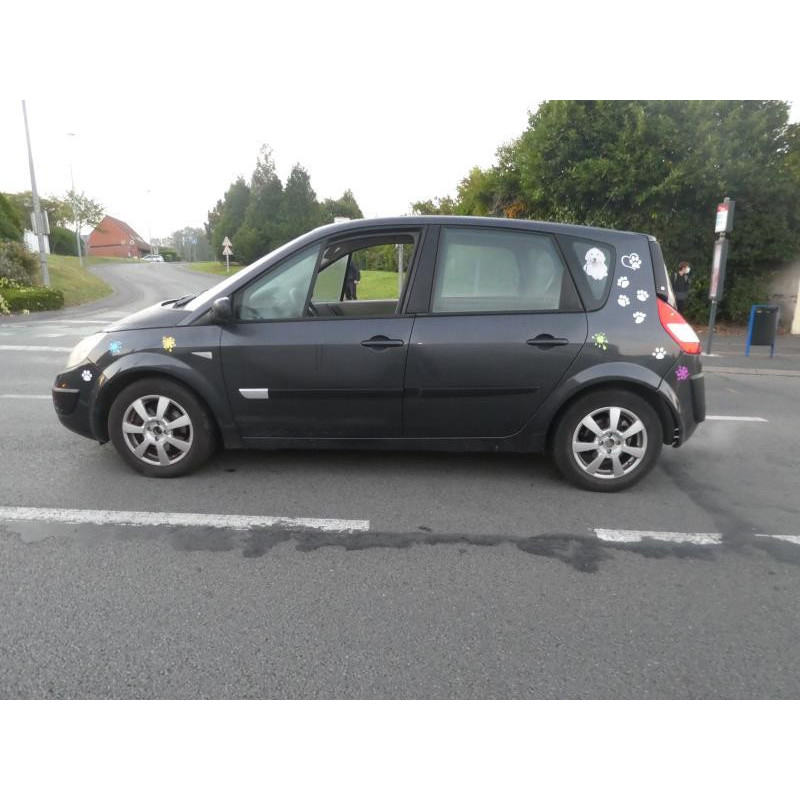 Jante RENAULT SCENIC 2 Photo n°11