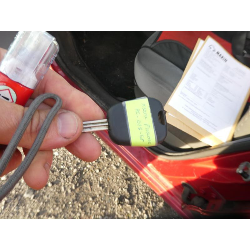 Porte arriere gauche CITROEN XSARA PICASSO Photo n°8