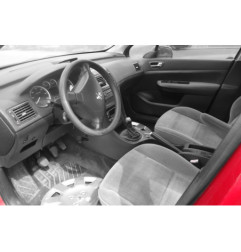 Bloc ABS (freins anti-blocage) PEUGEOT 307