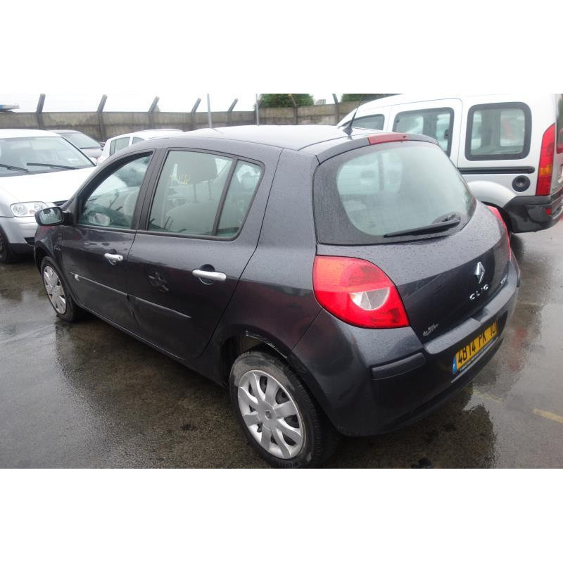 Porte arriere gauche RENAULT CLIO 3 Photo n°3