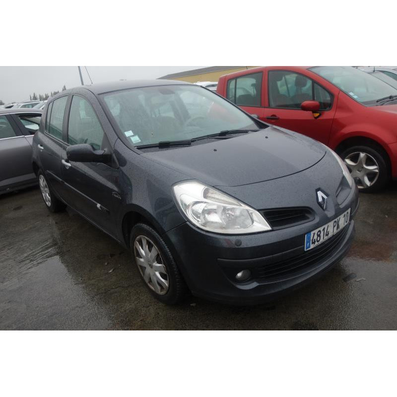 Porte arriere gauche RENAULT CLIO 3 Photo n°4