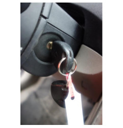 Porte arriere gauche RENAULT CLIO 3