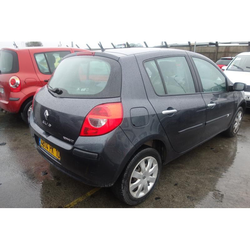 Porte arriere gauche RENAULT CLIO 3 Photo n°12