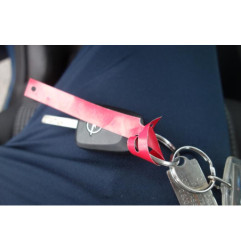 Porte arriere gauche OPEL MERIVA A