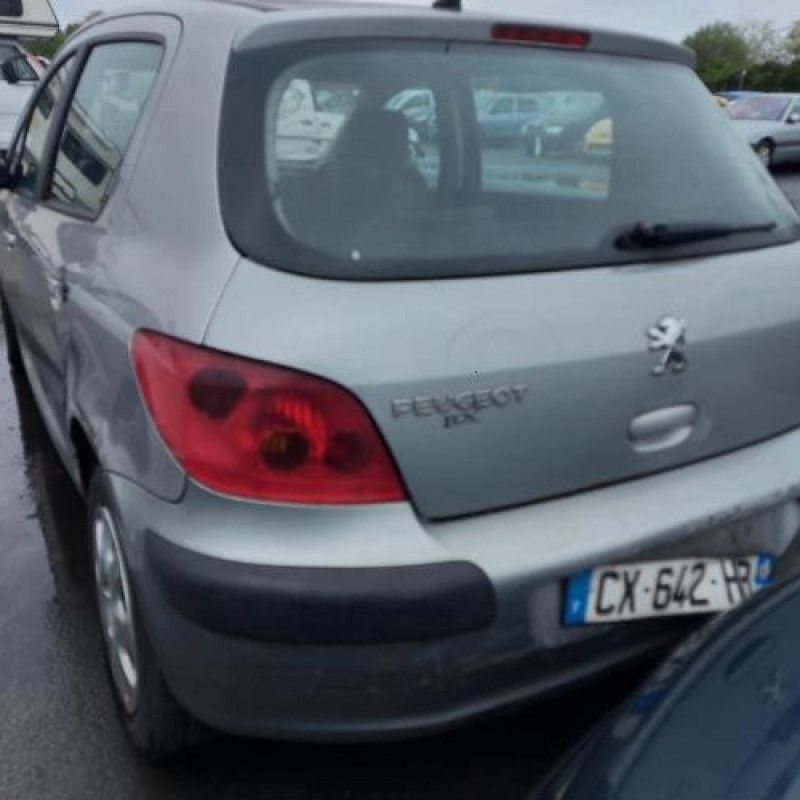 Jante PEUGEOT 307 Photo n°10
