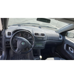 Neiman SKODA ROOMSTER