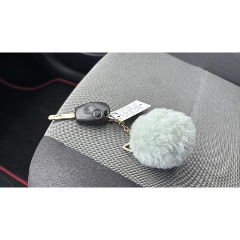 Custode arriere droit RENAULT GRAND MODUS Photo n°20