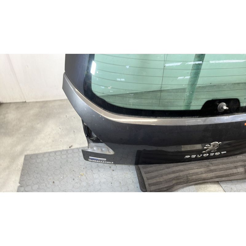 Malle/Hayon arriere PEUGEOT 3008 1 Photo n°6