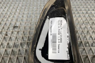 Custode arriere gauche RENAULT CLIO 4 Photo n°1