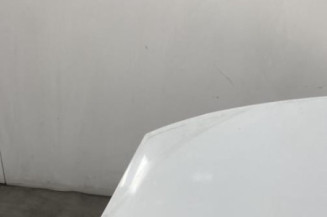 Capot RENAULT GRAND SCENIC 3
