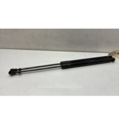 Verin de coffre RENAULT SCENIC 4